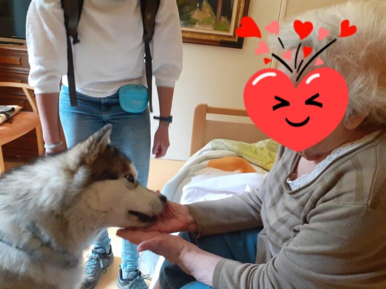 Resized_20250530_0933531 médiation canine